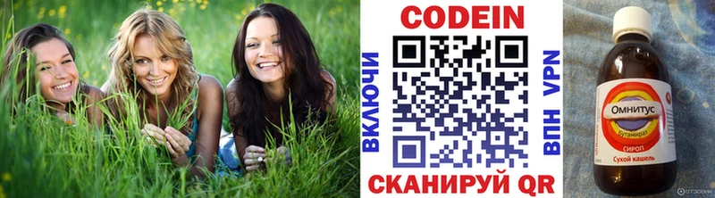 сколько стоит  Шуя  Кодеин напиток Lean (лин) 