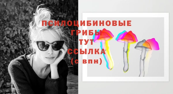 spice Баксан
